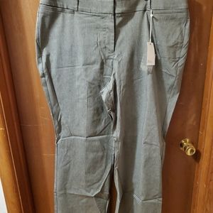 Dress pants
